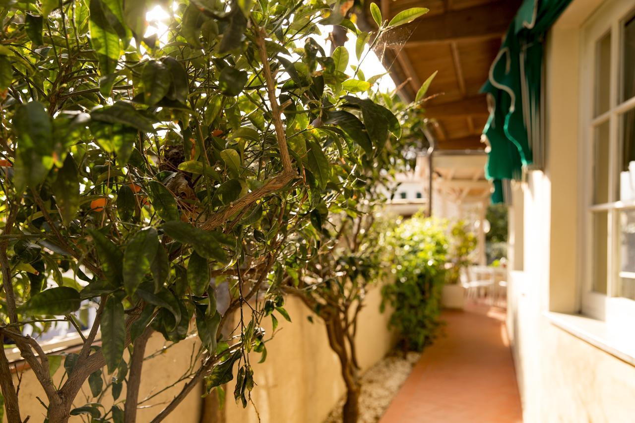 Hotel Corallo Pomonte Exterior photo